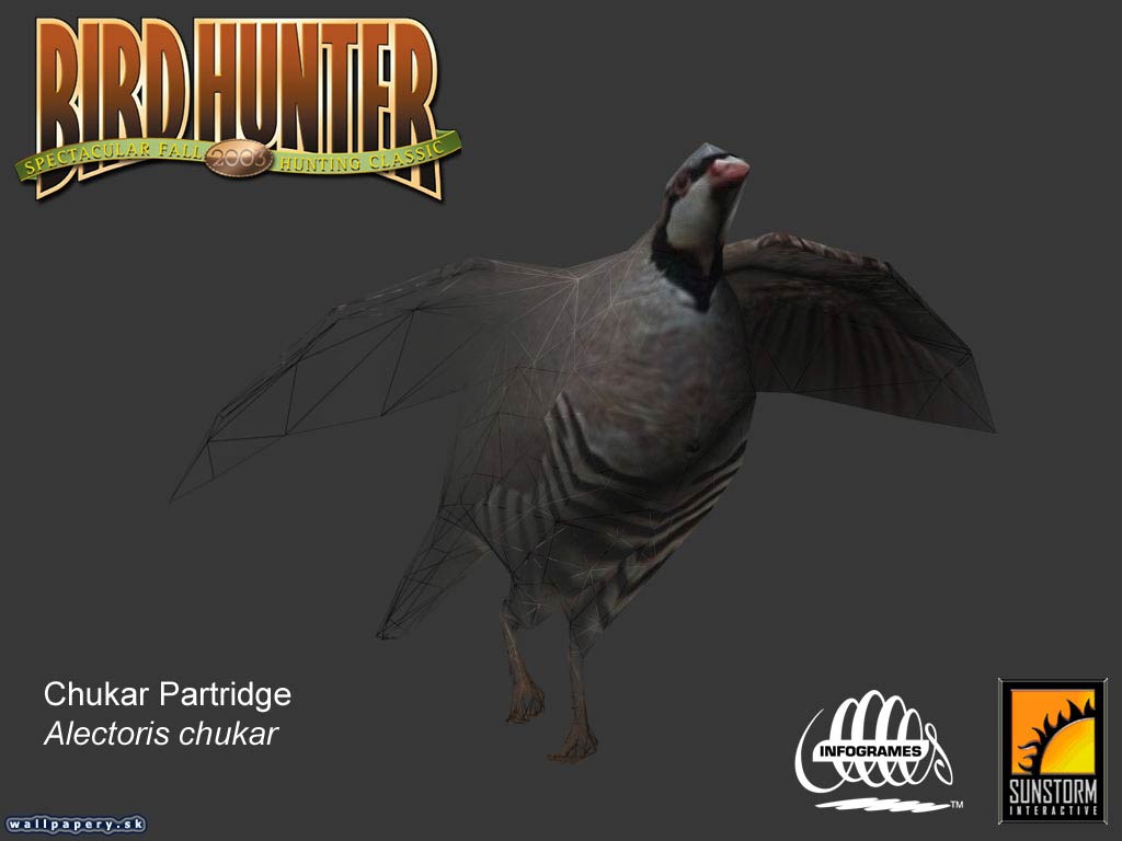 Bird Hunter 2003 - wallpaper 3
