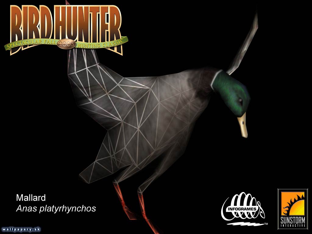 Bird Hunter 2003 - wallpaper 7