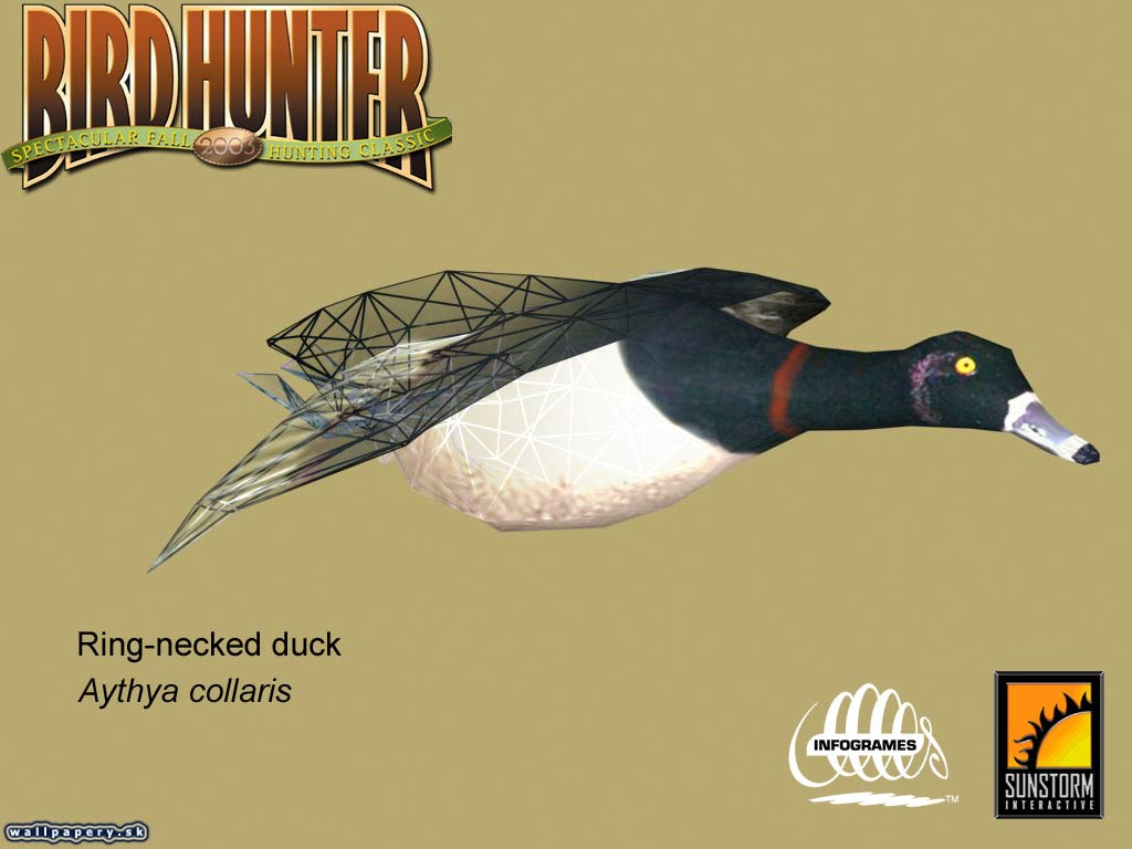 Bird Hunter 2003 - wallpaper 13