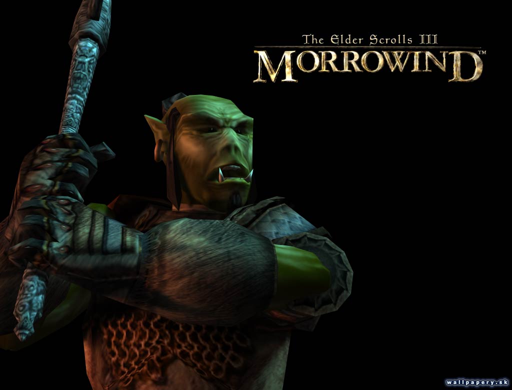 The Elder Scrolls 3: Morrowind - wallpaper 4