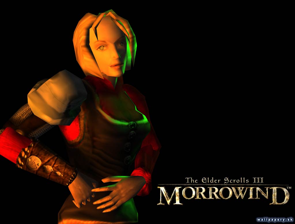 The Elder Scrolls 3: Morrowind - wallpaper 5