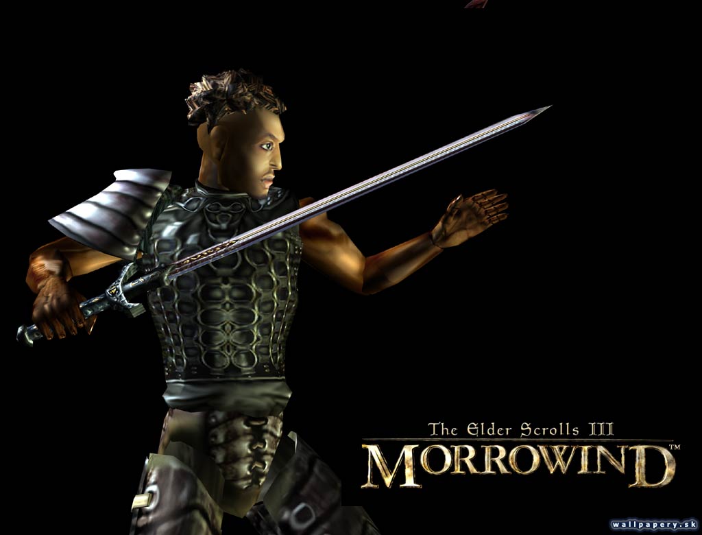 The Elder Scrolls 3: Morrowind - wallpaper 8