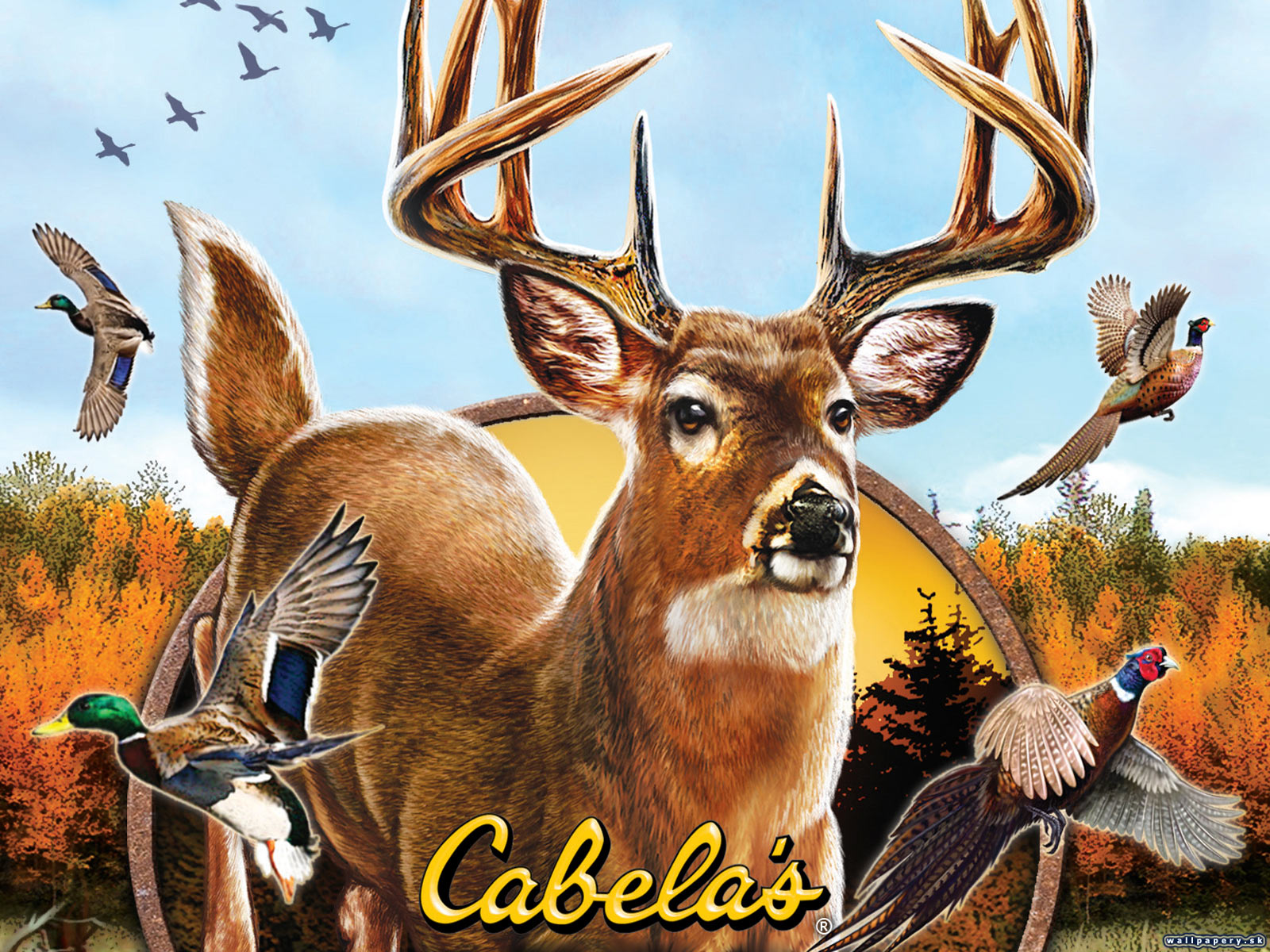 Cabela's Outdoor Adventures 2009 - wallpaper 1