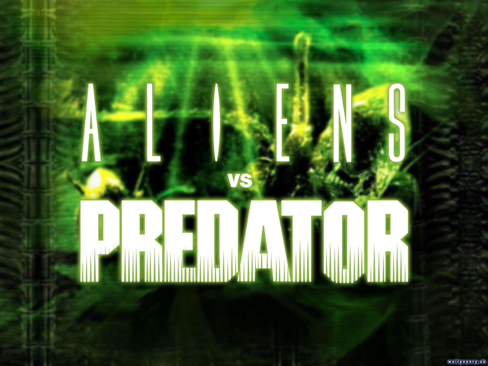 Aliens vs Predator - wallpaper 3