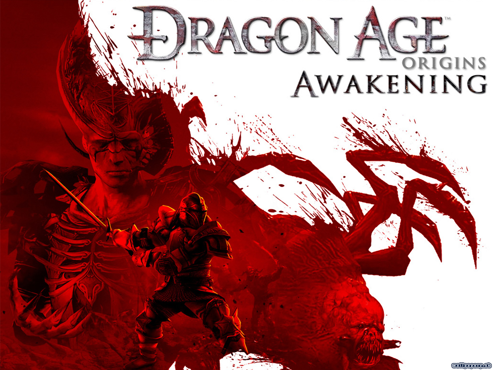 Dragon Age: Origins - Awakening - wallpaper 1