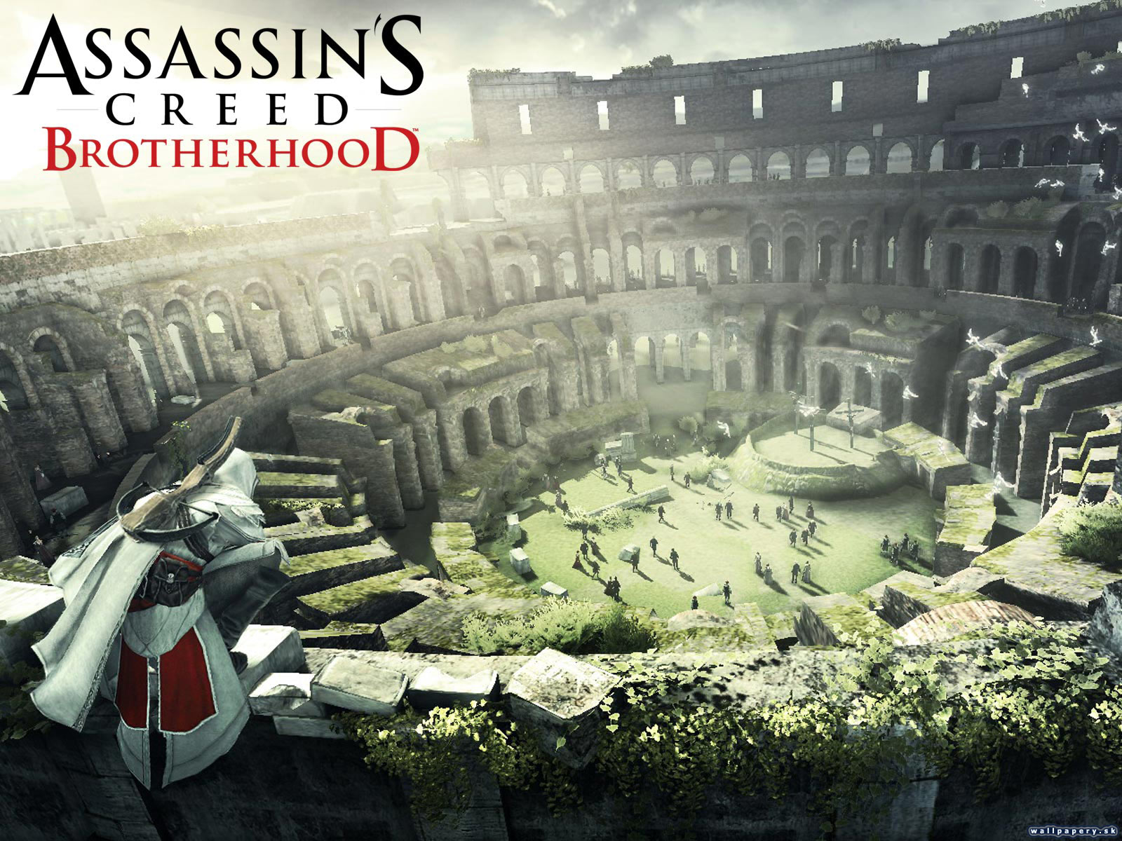 Assassins Creed: Brotherhood - wallpaper 3