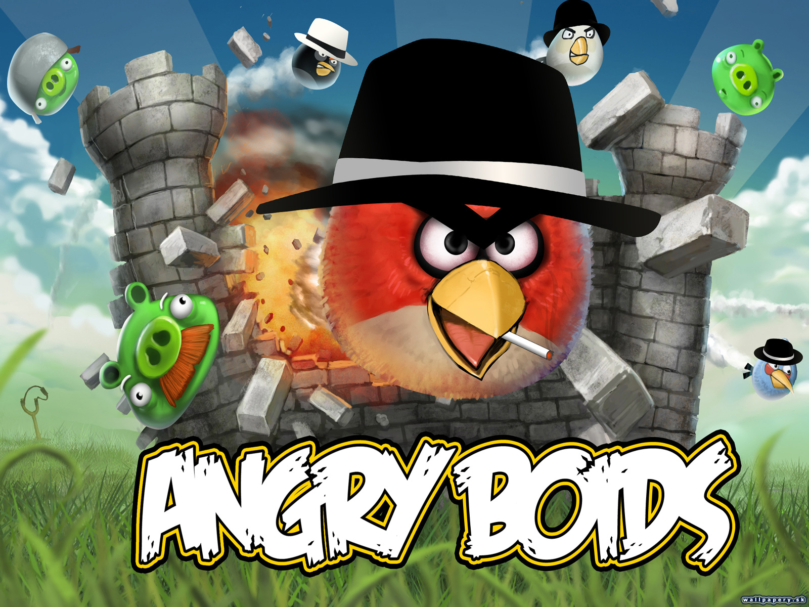 Angry Birds - wallpaper 3