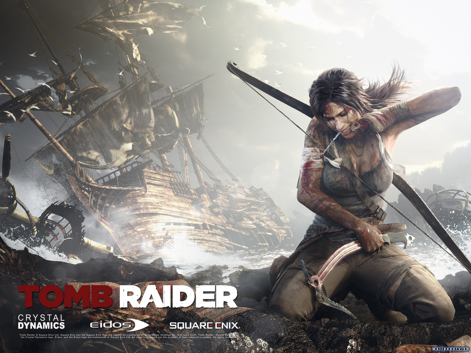 Tomb Raider - wallpaper 2