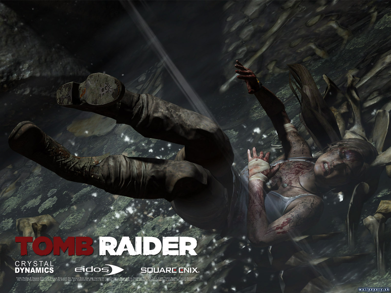 Tomb Raider - wallpaper 6