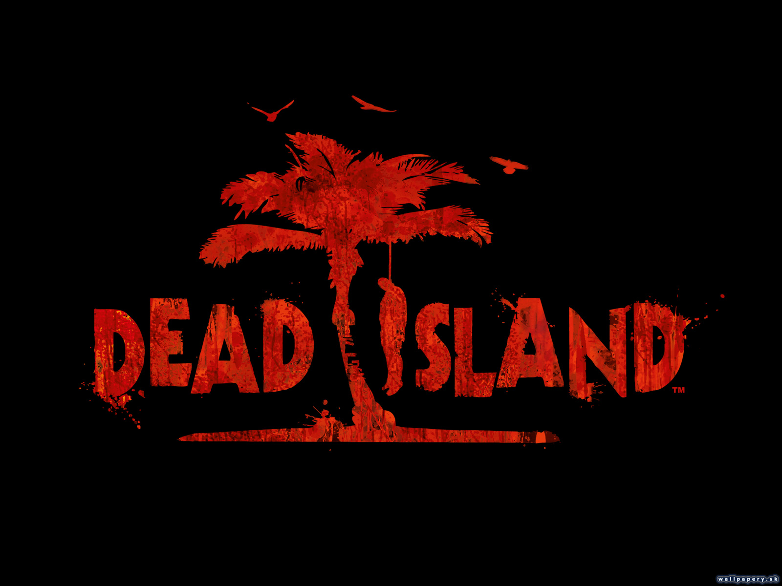Dead Island - wallpaper 8