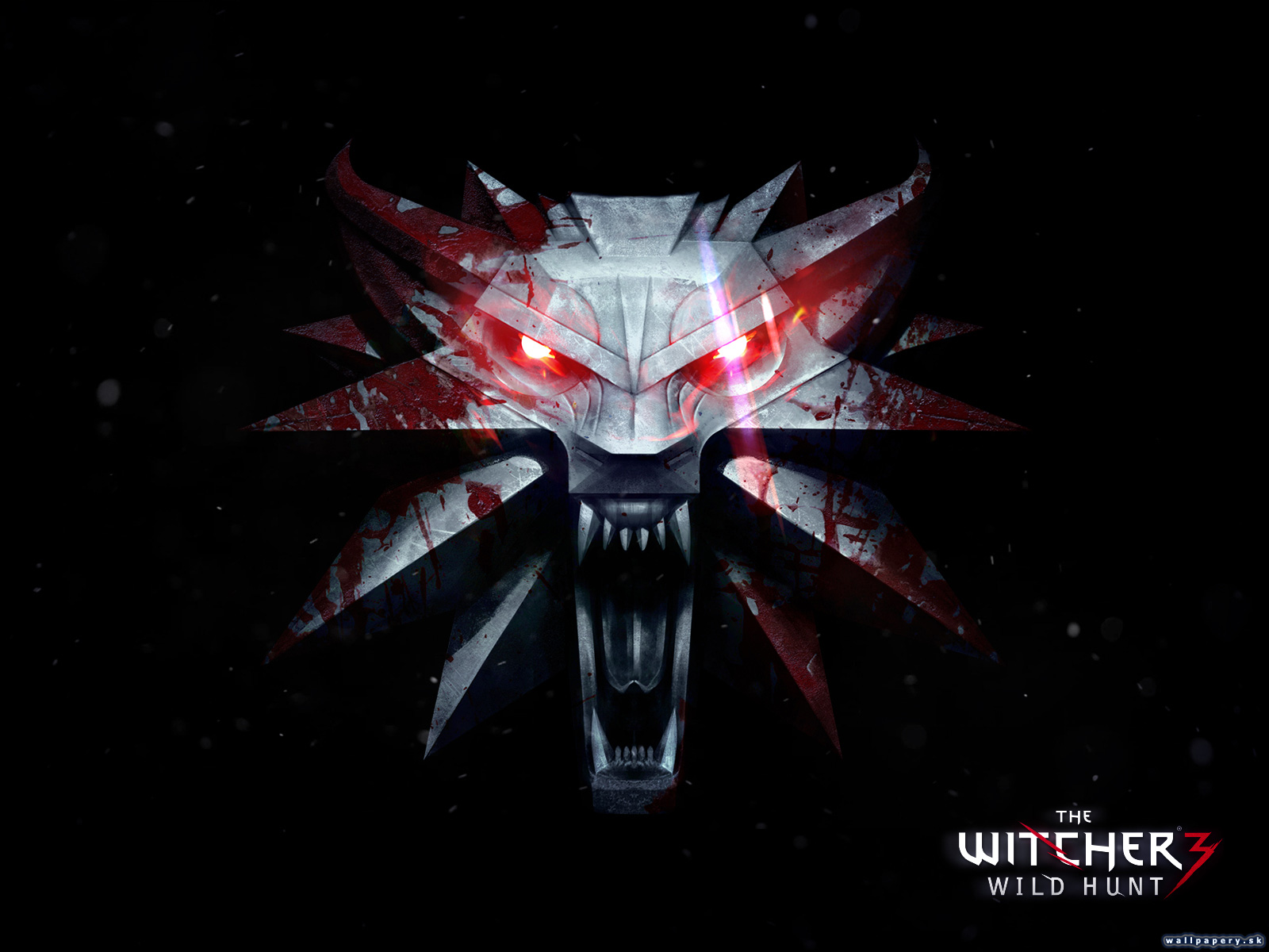 The Witcher 3: Wild Hunt - wallpaper 5