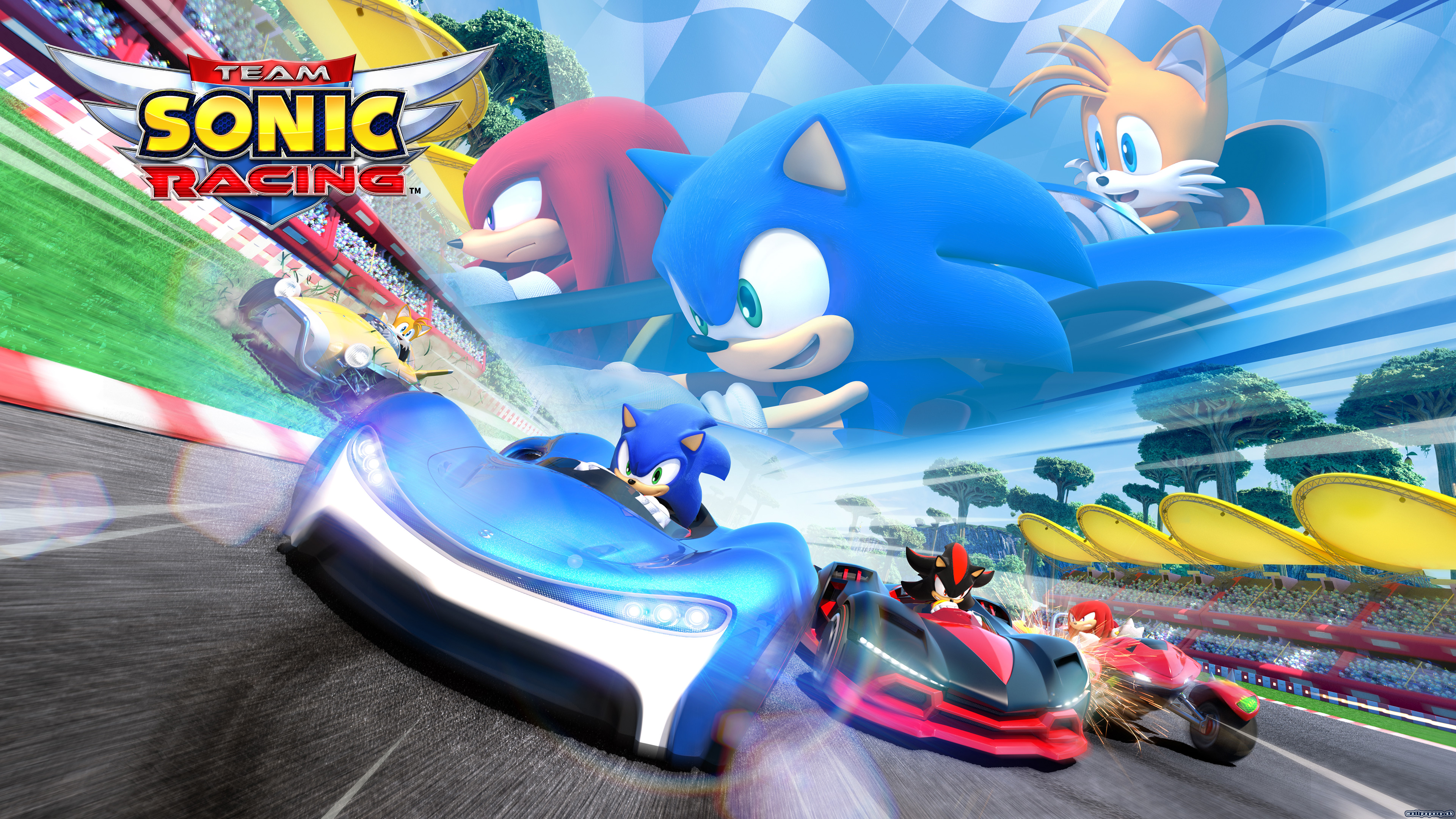 Team Sonic Racing - wallpaper 1