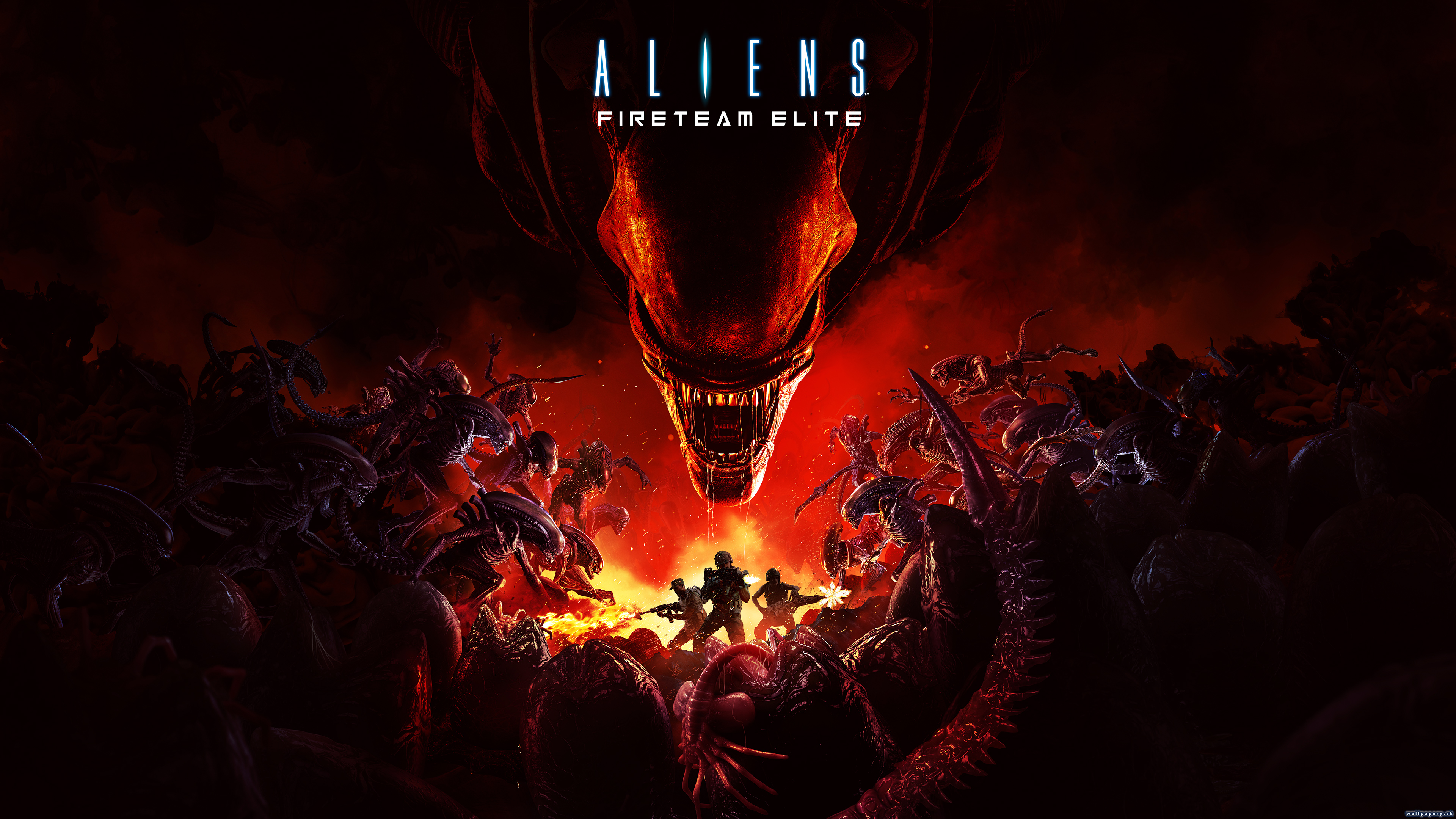 Aliens: Fireteam Elite - wallpaper 1