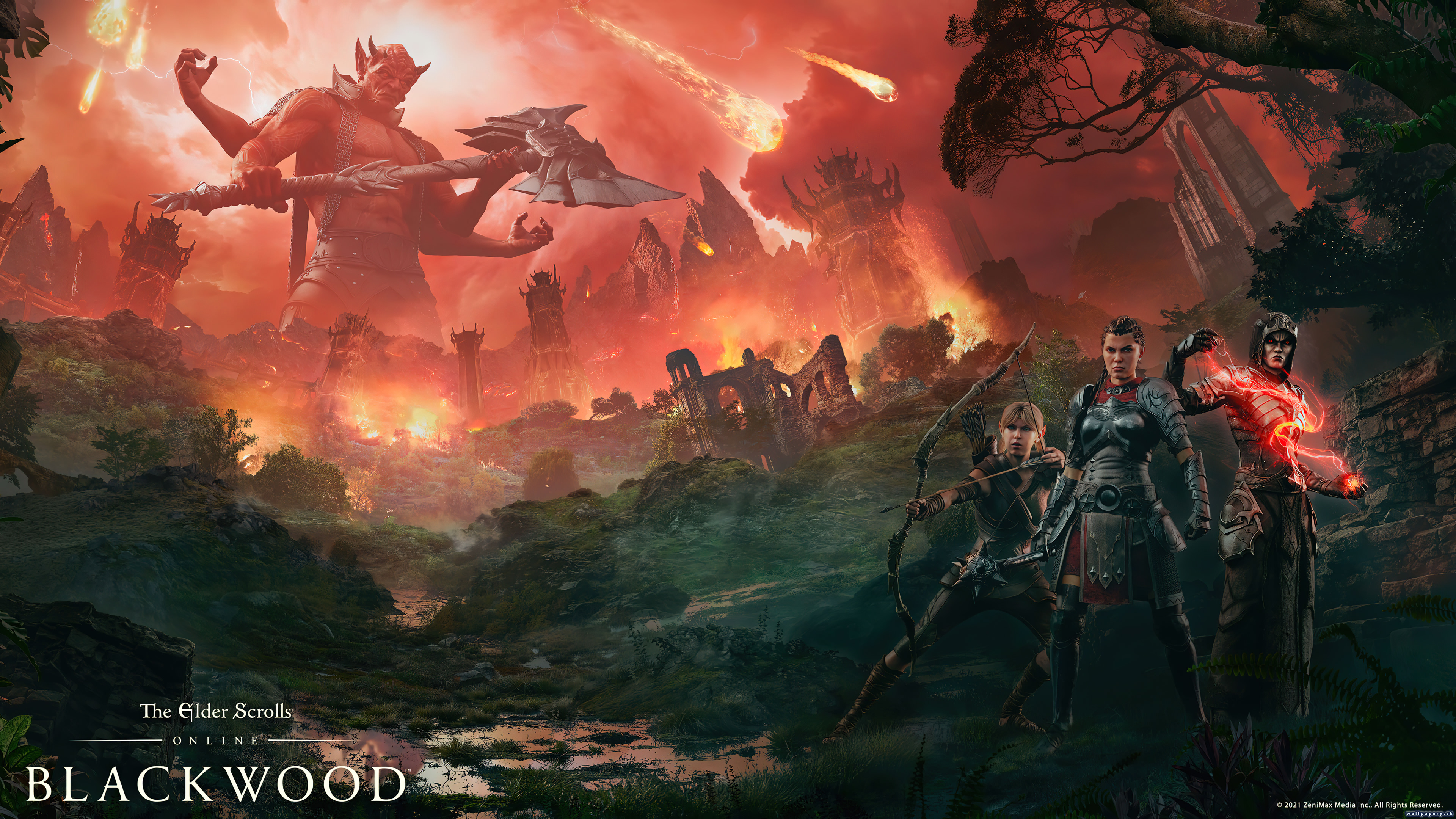 The Elder Scrolls Online: Blackwood - wallpaper 1
