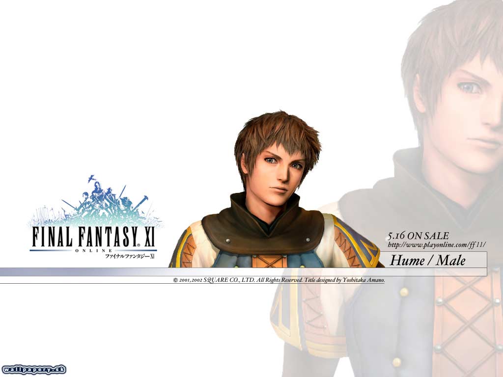 Final Fantasy XI: Online - wallpaper 13