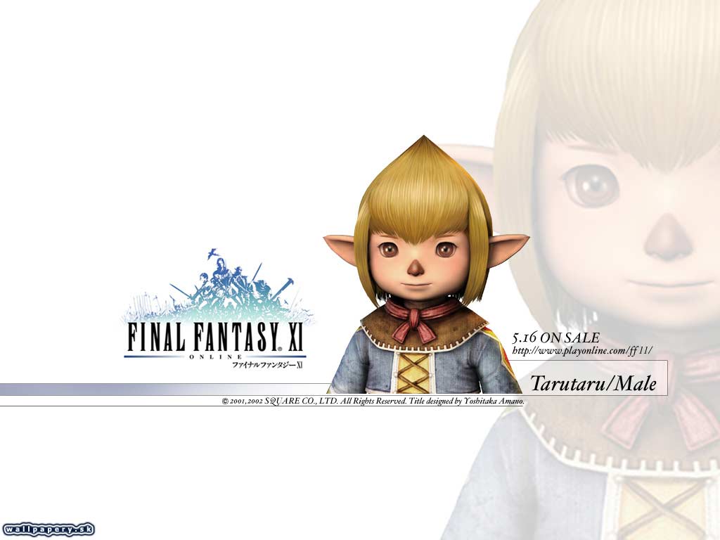 Final Fantasy XI: Online - wallpaper 17