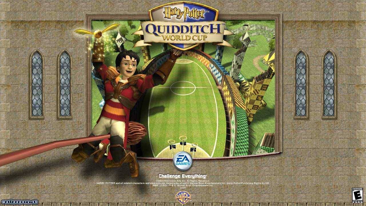 Harry Potter: Quidditch World Cup - wallpaper 1