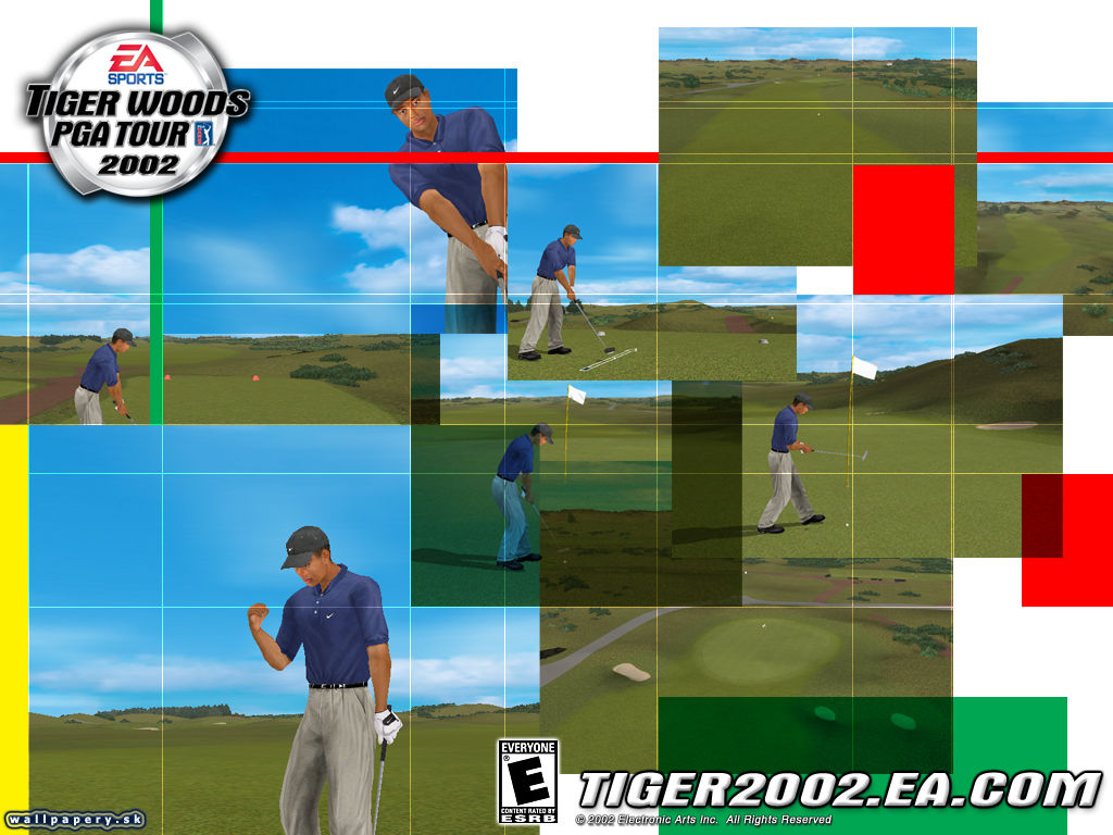 Tiger Woods PGA Tour 2002 - wallpaper 5