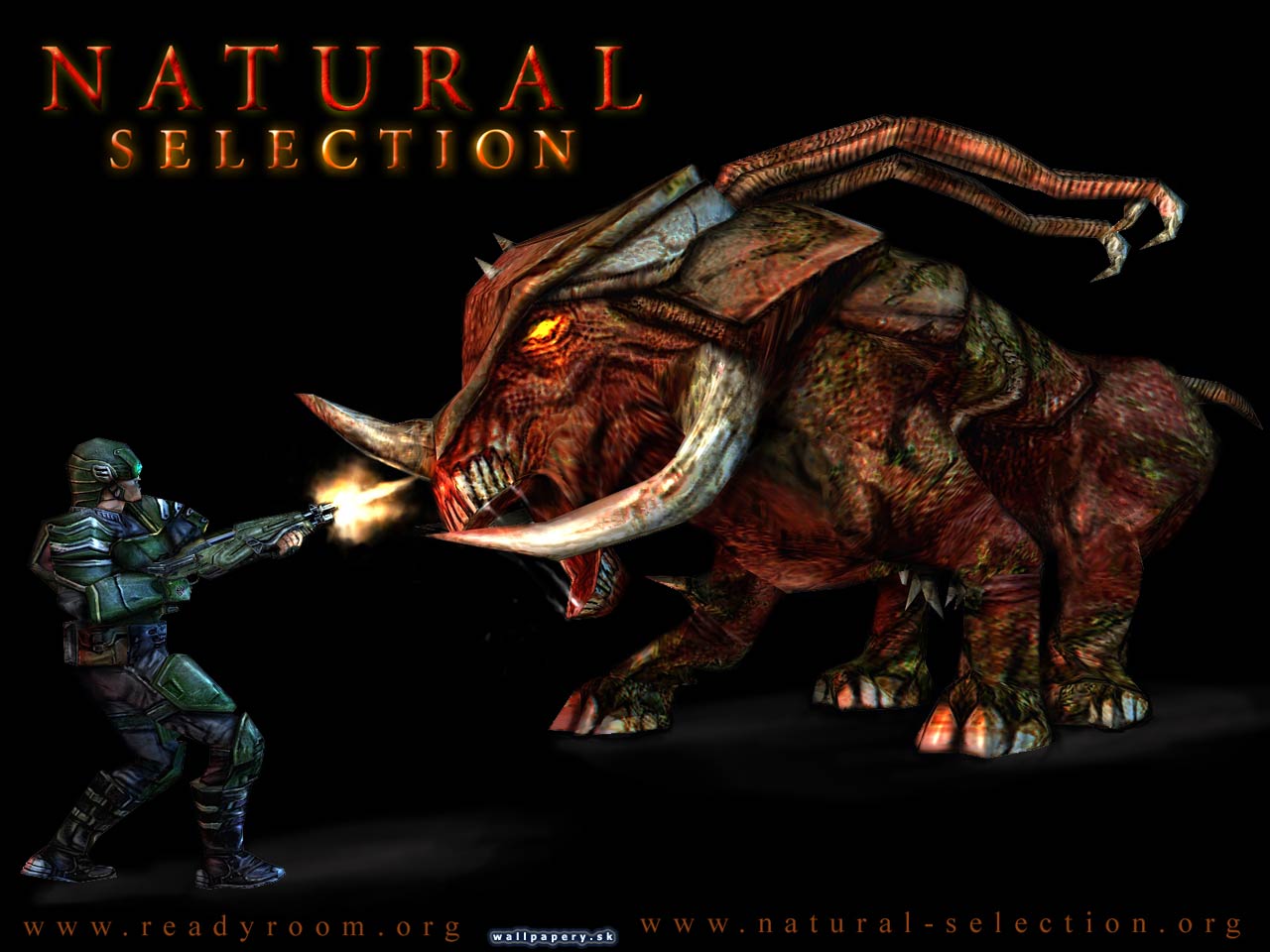 Natural Selection - wallpaper 1